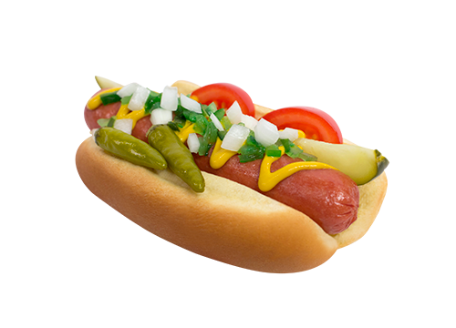 eisenberg chicago style dog